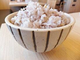 雑穀・雑穀米コシヒカリ五穀ごはん　2kg 送料無料 炊飯器で炊くだけ
