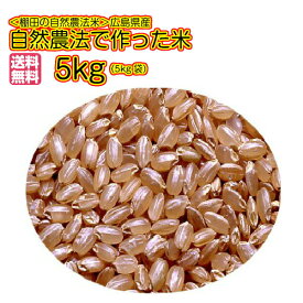 自然農法で作った米 5kg 玄米 青袋 棚田米 送料無料広島県産コシヒカリ5kg 広島コシヒカリ5kg 令和5年産 1等米