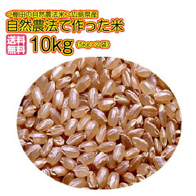 自然農法で作った米 10kg 玄米 黄金袋 ミルキークイーン10kg送料無料広島県産ミルキークイーン 10kg 棚田の自然農法米 広島コシヒカリ10kg 令和5年産 1等米