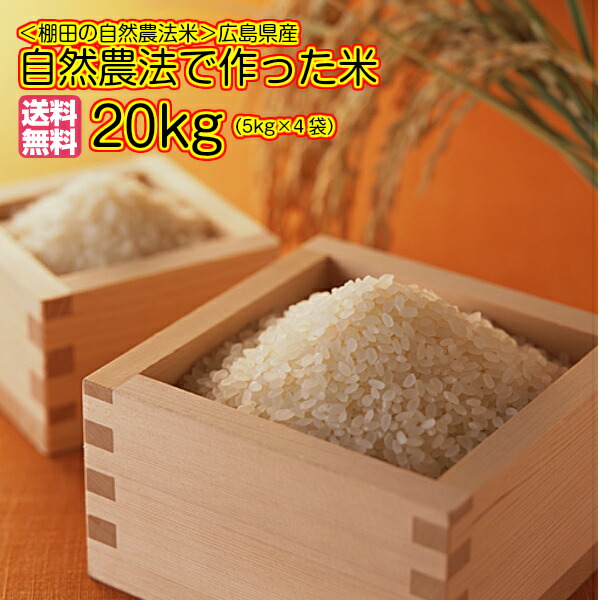 自然農法で作った米 20kg 5kg×4 青袋 広島県産コシヒカリ 20kg 送料無料令和 3年産 1等米