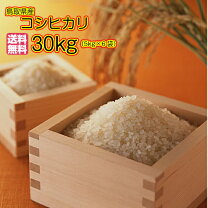 楽天市場】コシヒカリ 鳥取 30kgの通販