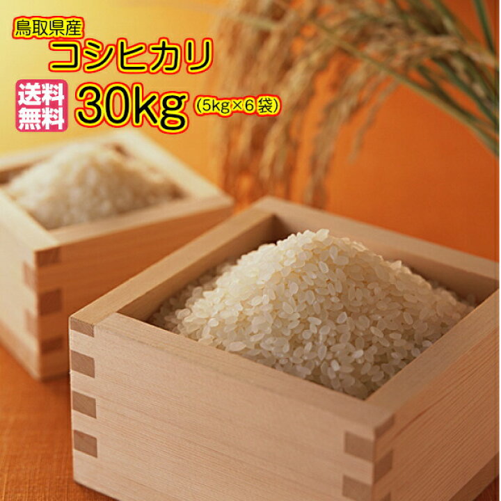 楽天市場】コシヒカリ 30kg 玄米 特a米5kg×6金の袋 送料無料鳥取県産 