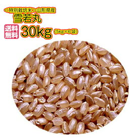 楽天市場 若 玄米の通販