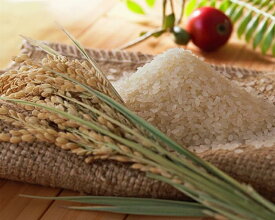 広島県産ミルキークイーン5kg/10kg/15kg/20kg 緑袋 送料無料布野高原 棚田の自然農法米