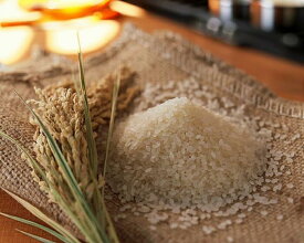 広島コシヒカリ10kg 食べ比べ 送料無料広島県産コシヒカリ 5kg 金の袋 広島県産コシヒカリ 5kg 5割ブレンド 複数原料米 白米 精米新米 令和7年産 1等米