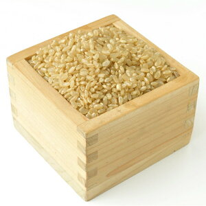 yʁzLY~L[NC[30kg  n Ic̎R_@   3 5 7ĐV ߘa7NY 1