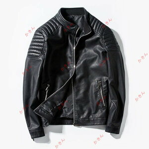 U[WPbg Y AE^[ tH~  vW PUWPbg C_[XWPbg e[[h  n V[g 傫TCY  h