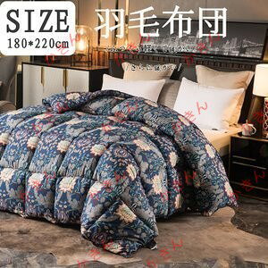 Hѕzc H CjOfUC zCgO[X_E R ̃Lg VOp H~p|zcۉ