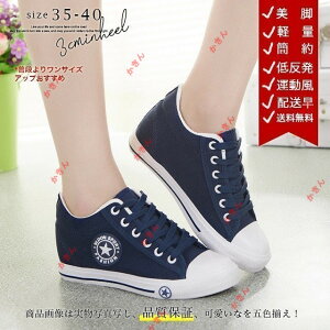 j[Xj[J[ fB[XXj[J[ Cq[ JWAV[Y nCq[Xj[J[ ^C w Rt r