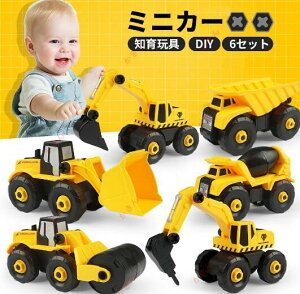 Hԗ Ǝԗ ~jJ[6in1 DIY V[ lW~߃J[6Zbg VуgCH DIY mߋ a NX}X v[g [P[Xt