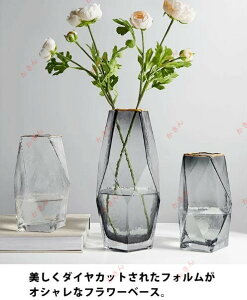 ԕr  t[x[X CeA KX 傫 ؍ KX̉Ԋ 28cm _C ^ IV  S[h 傫 Ɏq  傫TCY