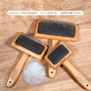 puV ӂe XeXjuV rVt[[efBp Lp ^Ə^Lƌ VȖтB ybgpi XeXj