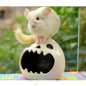 nX^[nEX nlY~ bg `` tFbg bgS[fnX^[̉ p@H Z~bN (L)