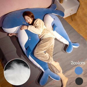  ʂ ~ NW NWʂ  150cm  傫  Q  ӂӂ D D