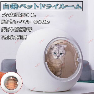 ybg nEX hC[ S hC[邤̎q̂߂ ÂɊ  L S