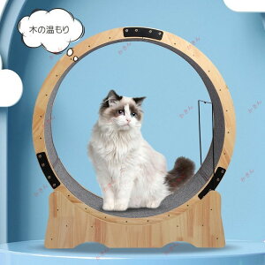 LbgzC[ jOzC[ [i[ ^ L  ^ ^s XgX NPA LzC[ 񂵎 ϗ L 