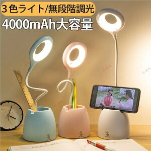fXNCg  wK R[hX LEDdCX^h wKp 邢  F 4000mAhe  k X^hCg e[uCg