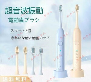 duVguV[dۊzCgjOlpqp݂͂͂ԂUf^PAhnuV킩߃^C}}