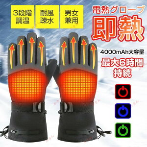 電熱グローブ 電熱手袋 ヒートグローブ 男女兼用 スマホ対応 バイク 防寒 発熱 防水 防風 保温 usb インナー 登山 作業 レディース メンズ おすすめ