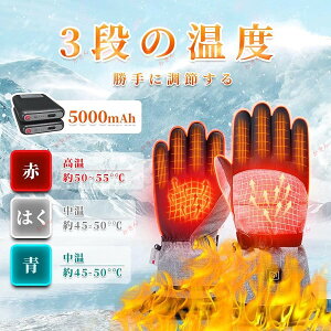 電熱グローブ 電熱手袋 ヒートグローブ 男女兼用 スマホ対応 バイク 防寒 発熱 防水 防風 保温 5000mAH インナー 登山 作業 レディース メンズ おすすめ