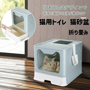 LpgC XN[vtLgC  ܂ юUȂ ォo肪ł [ȒPȐ܂肽ݎ O\ s ^Cv