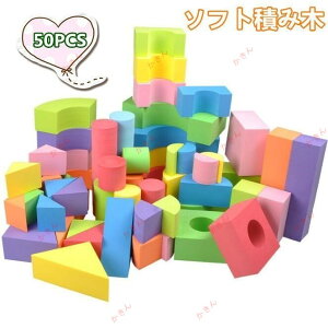 \tgςݖ ubNZbg Jt [ܕt EVAf y _炩  j̎q ̎q oYj a NX}Xv[g 50PCS