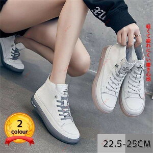 {vXj[J[ fB[X JWA ₷ V[YnCJbgXj[J[ 2023tďHfB[XXj[J[ ؍t@bV ₷