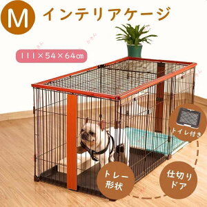 M 񂱌 gCtP[W ʕt c[hA CeAP[W ؐ gĈł yX P[W 111×54×64cm