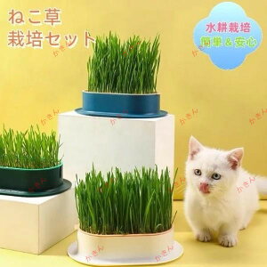 ˂ L cgC L͔|Lbg ƒ؉ ͔|Zbg {[xW^u k͔| LHׂ鑐 CG[