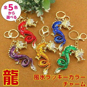 ̏    ObY  ܖ{  hS J^F ^F ( FIׂ bL[J[`[ L[z_[ )