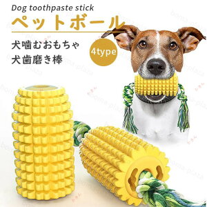 ނ R[^ ̎S ybgp  m ϋv v  XeBbN ^sXgX Ԃ₵Ȃ