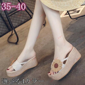 T_ fB[X EGbW\[ ~[  Ȃ `FbN ₷ lCT_ X|T X|[c   AEghA?