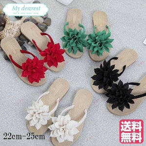 T_ t[ ̎q fB[X ʁ@߁@ԁ@@ubN@zCg@ ɂȂ r[`T_ r[T gO