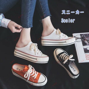  Xj[J[ fB[XV[Y  t@bVXj[J[ z Xj[J[ ₷ 6cm up Cq[ ƂȂ y LpX 