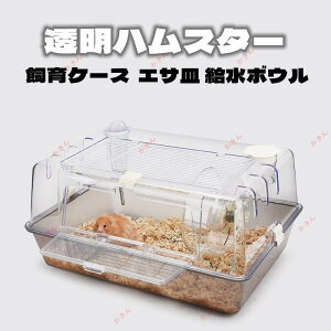 nX^[P[W nX^[nEX 炩 L  AN gȒP   55cm O  GTM {E VvfUC
