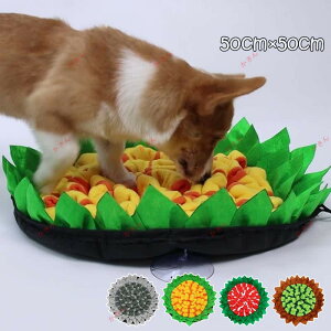 ybg  Pѕz koP}bg m[Y[N a}bg p mߋ XgX ^s  L 