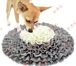 m[Y[N }bg ybg @Â܂ P}bg XgX ^s s  L ybgp aB}bg Pѕz 