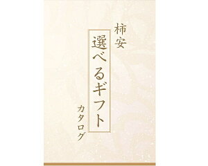 `IׂMtg@1~@FC-100A@001947