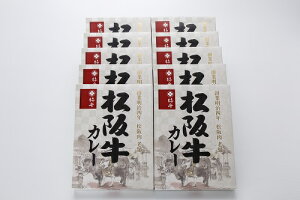 MGC-110@`̂J[Mtg@㋍J[10Zbgij 91351