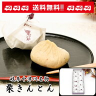 中津川【栗きんとん10個入】お茶菓子、大切な方への贈り物に、帰省のお土産にも最適！　【送料込み】【楽…