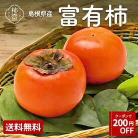 【200円OFFクーポン】富有柿 柿 5kg 2.5kg 農家 直送 家庭用 平田 果物 高級 予約 島根 ギフト お徳用 送料無料 農家直送 名産 かき カキ 贈答 出雲 ひらた 完熟 食べごろ おいしい 柿壺（L〜3L）【11月下旬より順次発送】