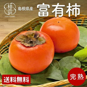 yN[|łz xL` ` 5kg 2.5kg Ε _  ƒp c ʕ  \  Mtg p  _ƒ Y  JL  o_ Ђ炽 n Hׂ  