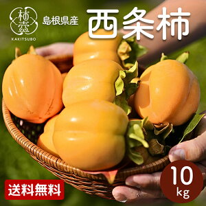 yN[|łz ` ` 10kg 5kg 2.5kg Ε _  c ʕ  \ 킹`  Mtg p  ƒp ʔ Y  n ` aȂ甭 Lڂ