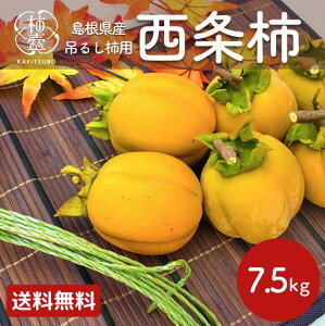 ` `pa` ݂邵` ` ` ʕ 7.5kg  \  p  _ƒ ƒp Y  JL o_ Ђ炽 Hׂ ` {ňԐ`Ă܂i݂邵R