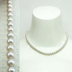 y1_z Vo[ O[ p[ lbNX { yKSNE13505zlbNX ^ Vo[ fB[X WG[ Mtg v[g