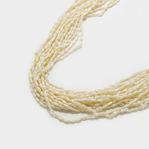 y1_z Vo[ W p[ lbNX { yKSNE21202zlbNX ^ Vo[ fB[X WG[ Mtg v[g