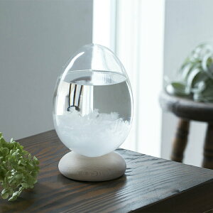 ストームグラス Tempo Pulse テンポパルス クリア【 100percent 卵型 たまご 透明 かわいい インテリア 天気予報 オブジェ 飾り 結晶 北欧 おしゃれ 男性 女性 贈り物 雑貨 ガラス 誕生日プレゼント