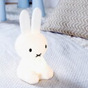 選べる無料ラッピング miffy ファーストライト ミッフィー LED 赤ちゃん 授乳ライト 充電式 ナイトライト インテリアライト 調光 間接照明 子供部屋 寝室 フロアライト フロアランプ デスクライト おしゃれ グッズ 北欧 誕生日 クリスマス プレゼント ギフト