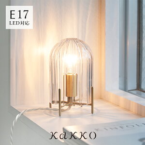 schon e[uCg qualle N@yKX X^hCg  fXNCg iCgCg e[uv Ɩ ԐڏƖ k dC 킢 Ɩ  LED g _ Q d