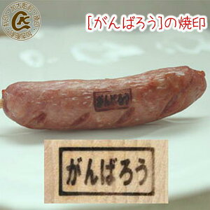 ΂낤 Ĉ Ă Ă ₫ ٓ ٓ ׂƂ Mtg v[g   KXR p p@َq ł IWi َqyIׂLXg[g dMOK